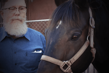 equine therapy