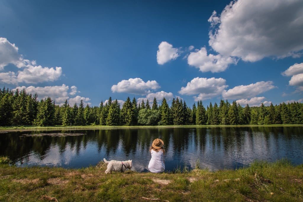 woman thinking next to a dog by a lake