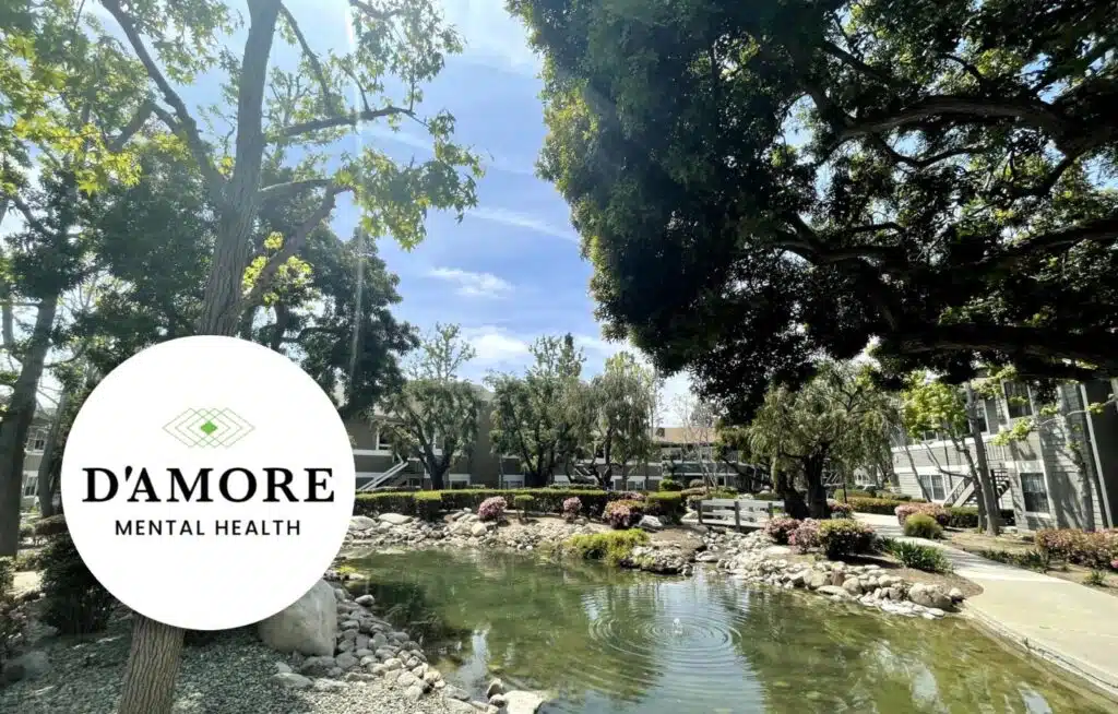 D'Amore Mental Health Outpatient Treatment Center