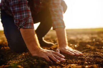 hands touching soil on the field.