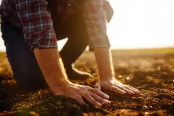 hands touching soil on the field.