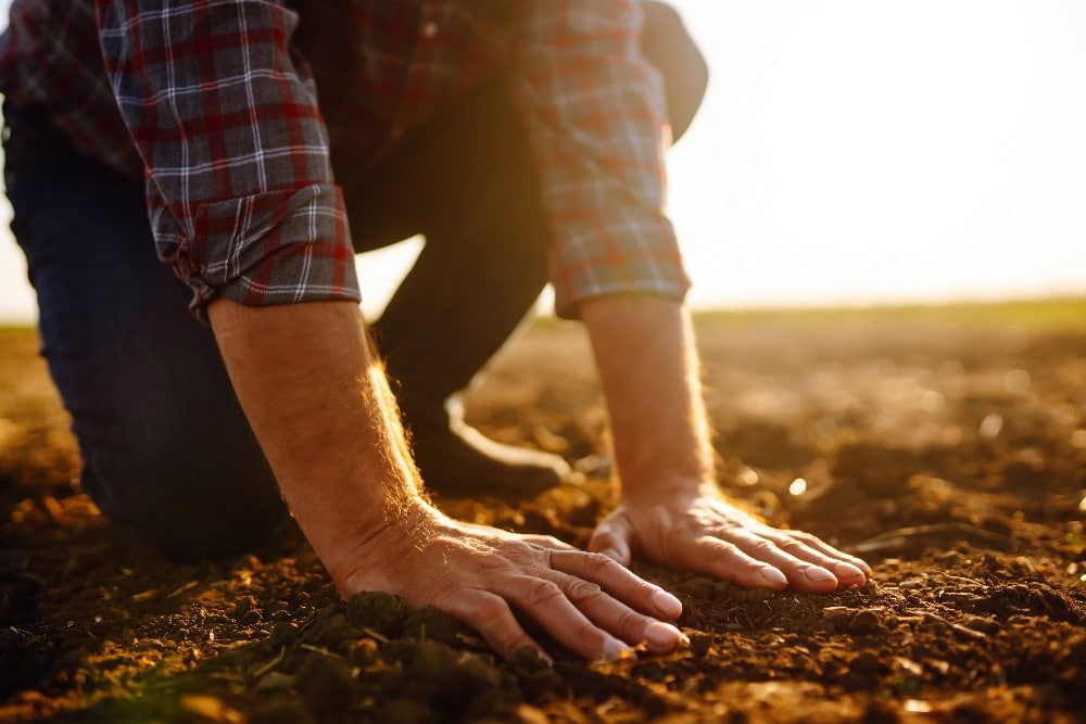 hands touching soil on the field.
