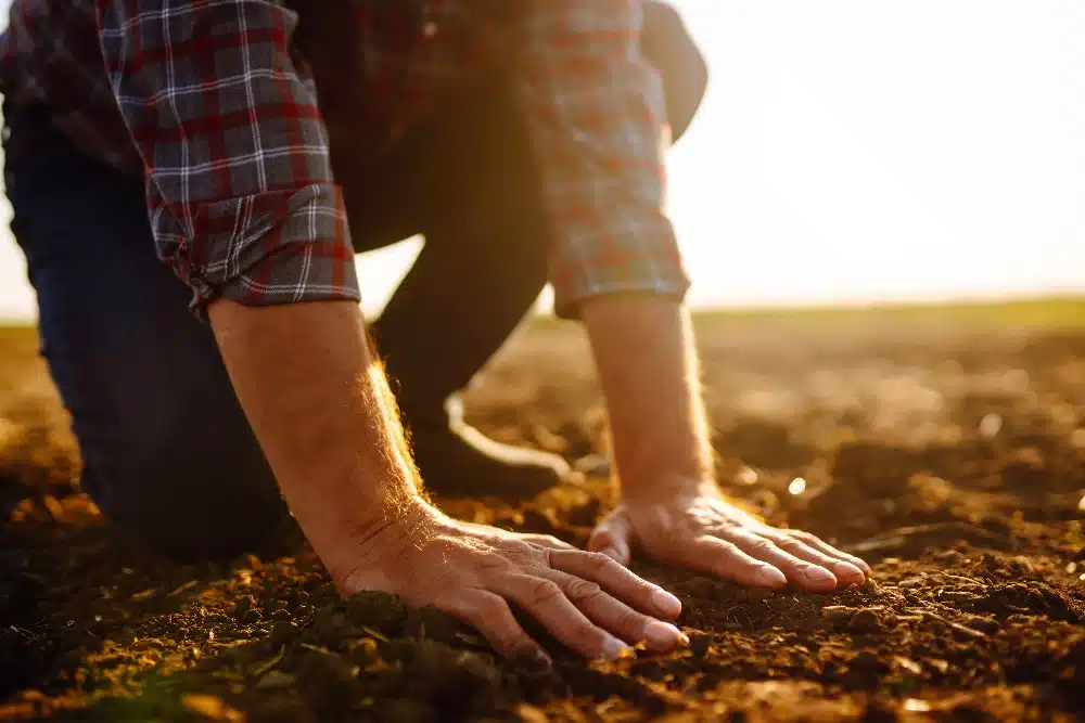 hands touching soil on the field.