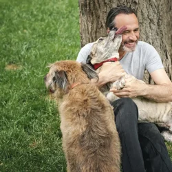 happy man outdoors with 2 dogs