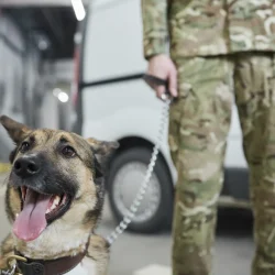 military person with dog