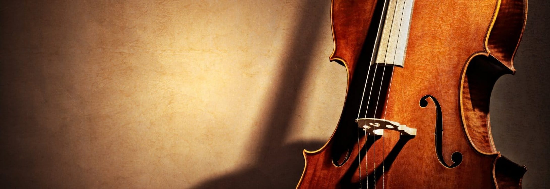 Cello background with silhouette and copy space for music concept